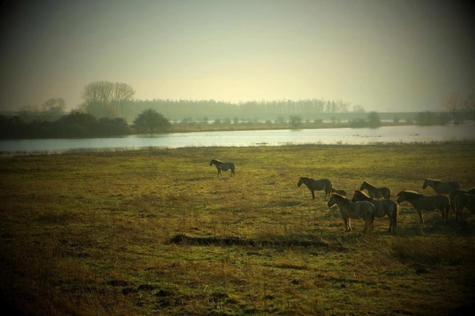 Roosje Van Ooy Ooij Exterior foto